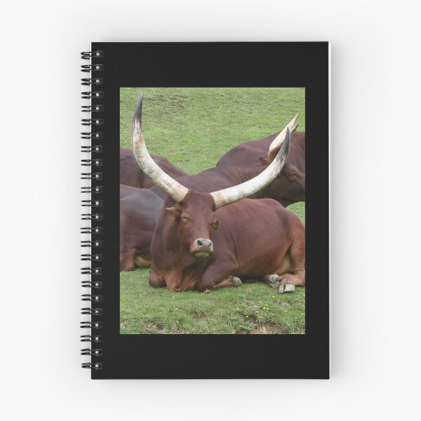 Item preview, Ankole - Ankole cow designed and sold by animal-animal.