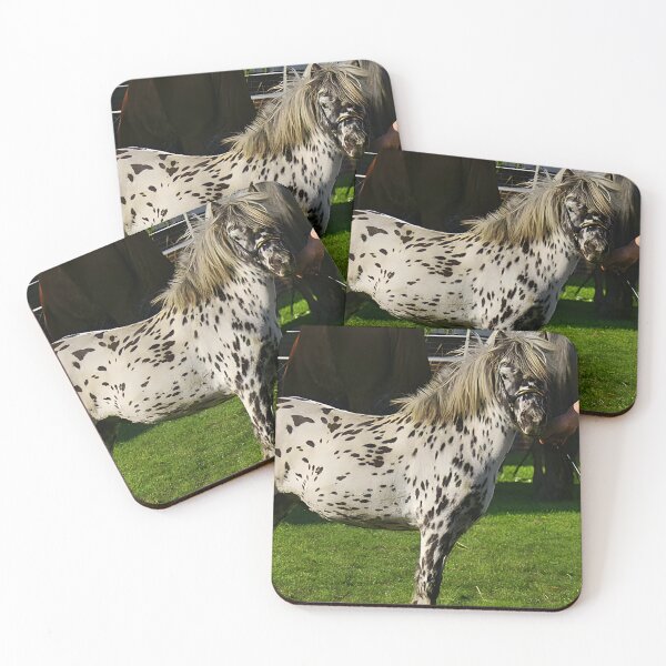 Artikelvorschau, Appaloosa - Appaloosa Horse entworfen und verkauft von animal-animal.