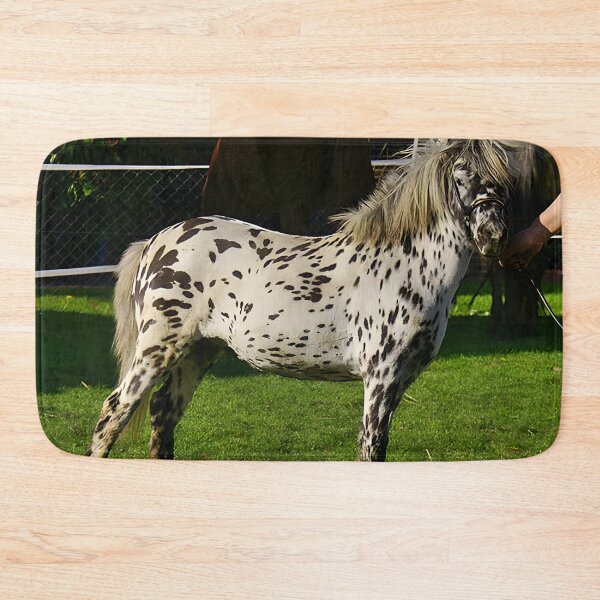 Item preview, Appaloosa - Appaloosa Horse designed and sold by animal-animal.