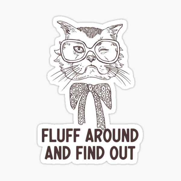 Fluff Around And Find Out Funny Cat Quote Throw Pillow for Sale