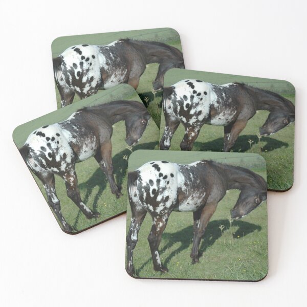 Artikelvorschau, Appaloosa - Appaloosa Horse entworfen und verkauft von animal-animal.
