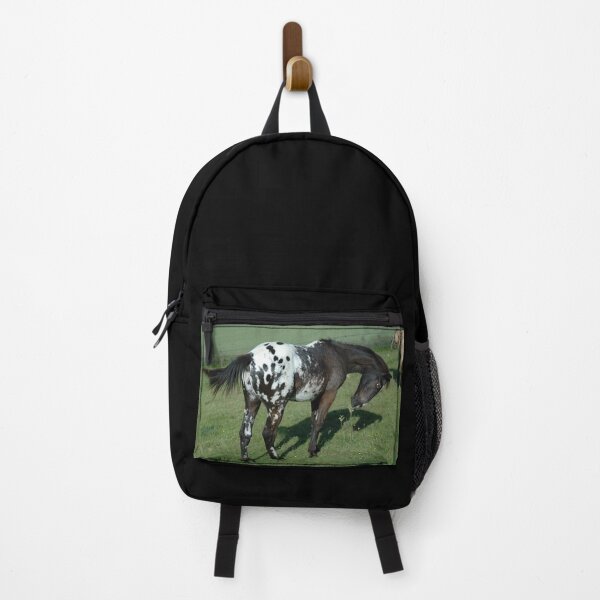Item preview, Appaloosa - Appaloosa Horse designed and sold by animal-animal.