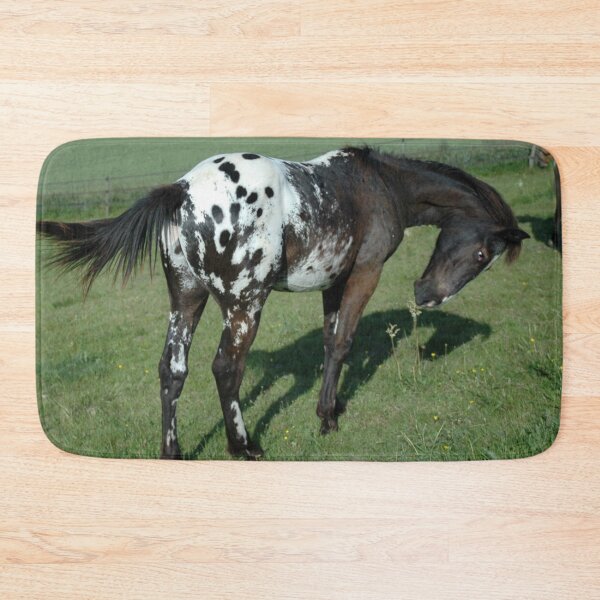 Item preview, Appaloosa - Appaloosa Horse designed and sold by animal-animal.