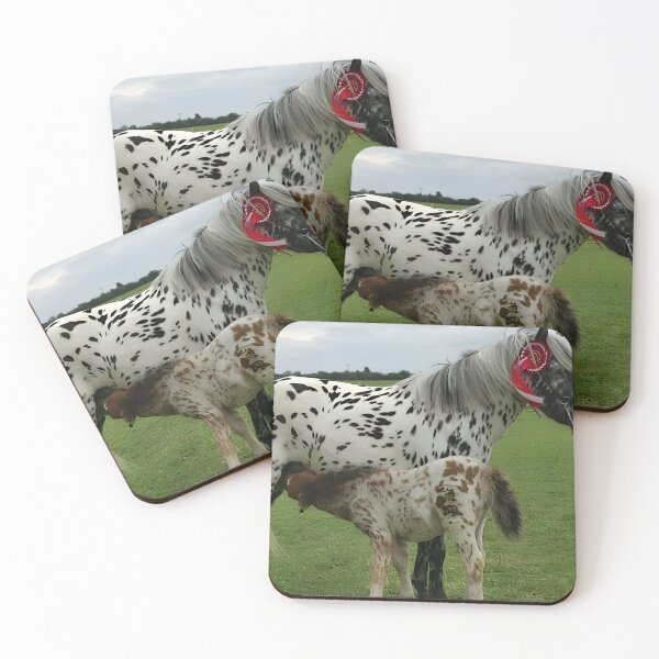 Artikelvorschau, Appaloosa - Appaloosa Horse entworfen und verkauft von animal-animal.