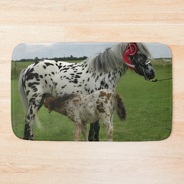 Item preview, Appaloosa - Appaloosa Horse designed and sold by animal-animal.