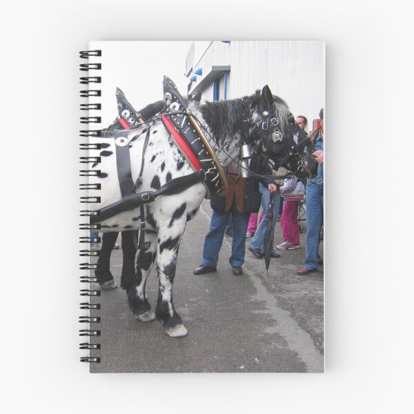 Item preview, Appaloosa - Appaloosa Horse designed and sold by animal-animal.