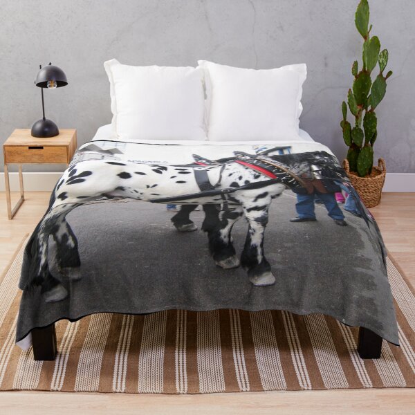 Item preview, Appaloosa - Appaloosa Horse designed and sold by animal-animal.
