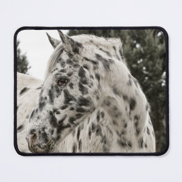 Artikelvorschau, Appaloosa - Appaloosa Horse entworfen und verkauft von animal-animal.