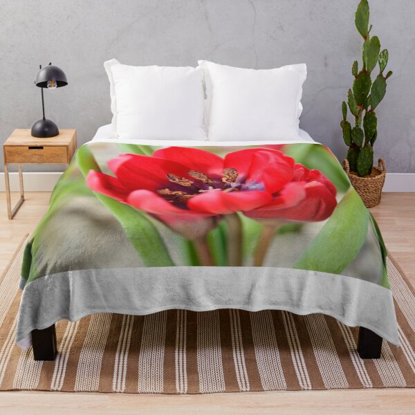 Item preview, Tulipa 'Lilliput' Tulip designed and sold by Chris Burrows.