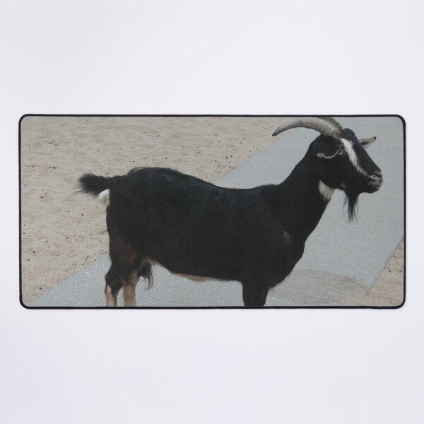 Item preview, Black goat designed and sold by animal-animal.