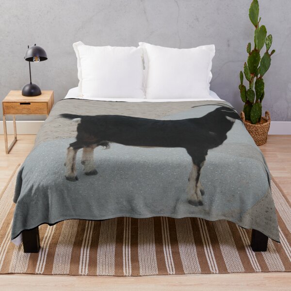 Item preview, Black goat designed and sold by animal-animal.