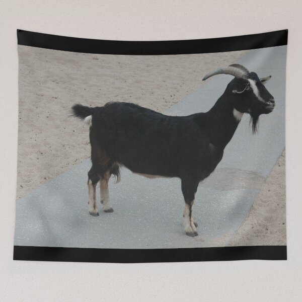 Item preview, Black goat designed and sold by animal-animal.