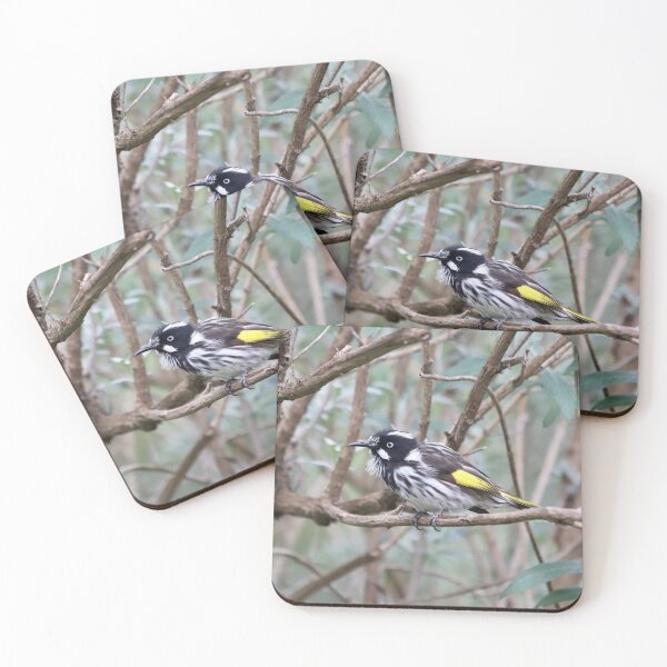 Item preview, New Holland Honeyeater designed and sold by Jenelle  Irvine.