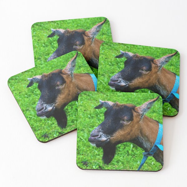 Item preview, Pygmy goat - Funny goat designed and sold by animal-animal.