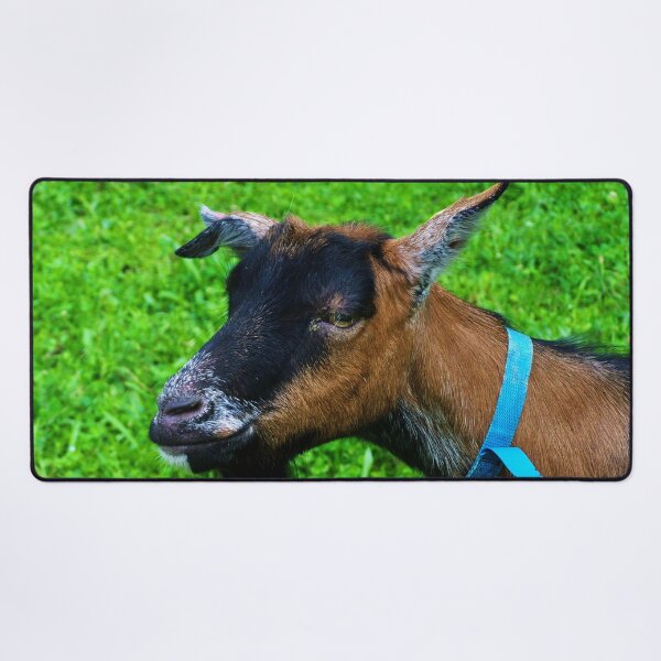 Item preview, Pygmy goat - Funny goat designed and sold by animal-animal.