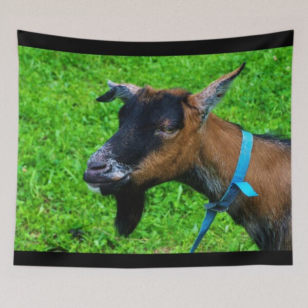 Item preview, Pygmy goat - Funny goat designed and sold by animal-animal.