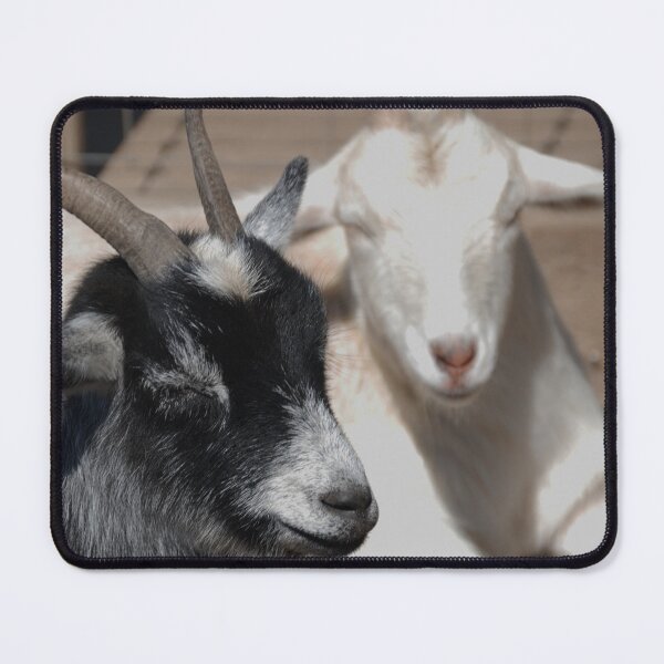Item preview, Black goat - White goat designed and sold by animal-animal.