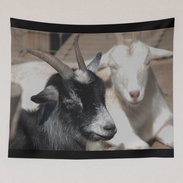 Item preview, Black goat - White goat designed and sold by animal-animal.
