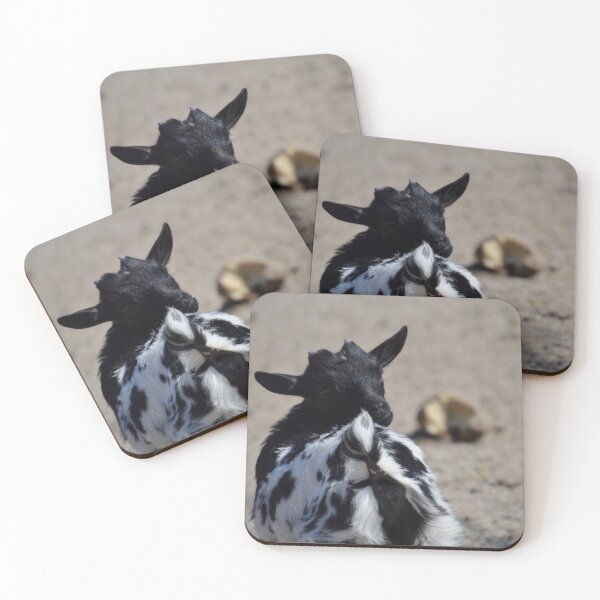 Item preview, Black goat - pygmy goat designed and sold by animal-animal.
