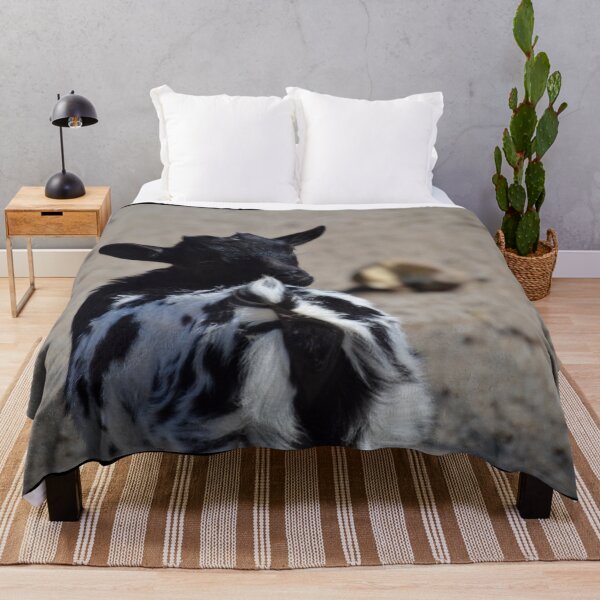 Item preview, Black goat - pygmy goat designed and sold by animal-animal.