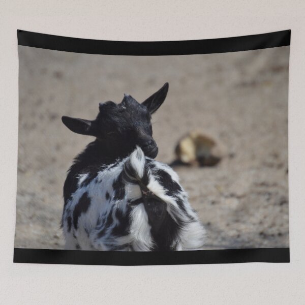 Item preview, Black goat - pygmy goat designed and sold by animal-animal.