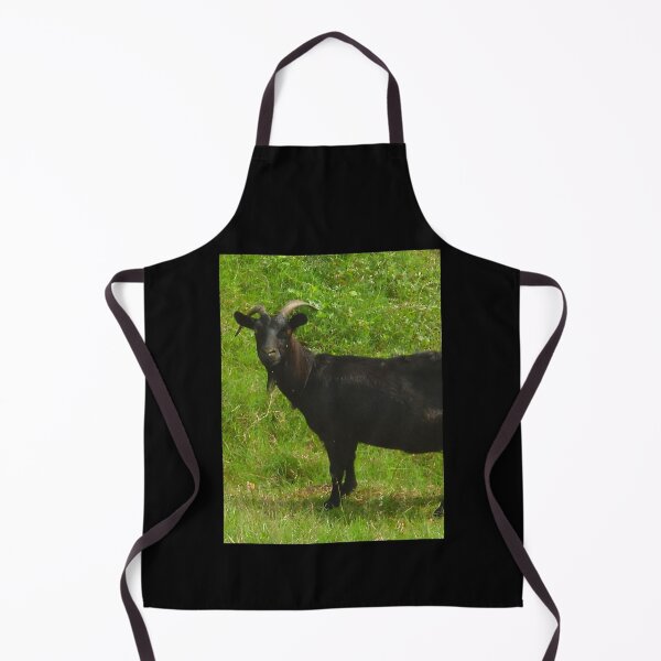 Item preview, Black goat - pygmy goat - funny goat designed and sold by animal-animal.