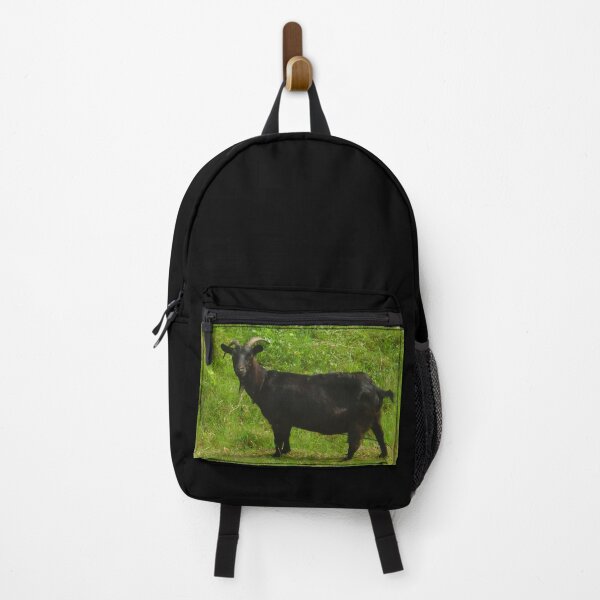 Item preview, Black goat - pygmy goat - funny goat designed and sold by animal-animal.
