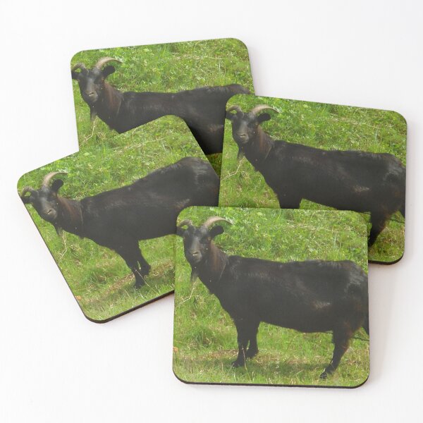 Item preview, Black goat - pygmy goat - funny goat designed and sold by animal-animal.