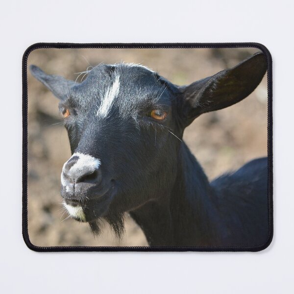 Item preview, Funny goat - black goat designed and sold by animal-animal.