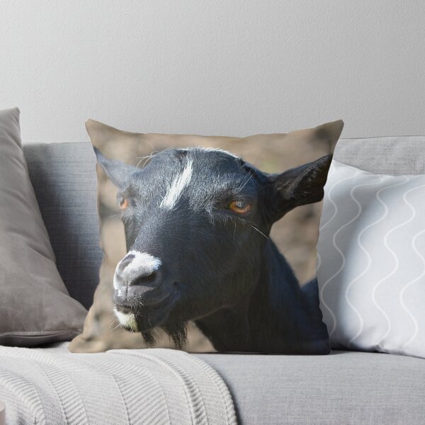 Item preview, Funny goat - black goat designed and sold by animal-animal.