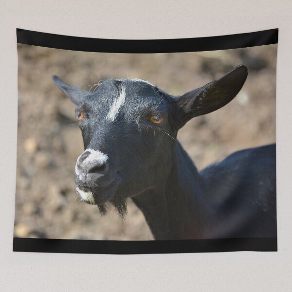 Item preview, Funny goat - black goat designed and sold by animal-animal.