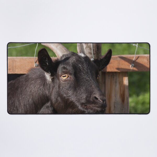 Item preview, Funny goat - black goat designed and sold by animal-animal.
