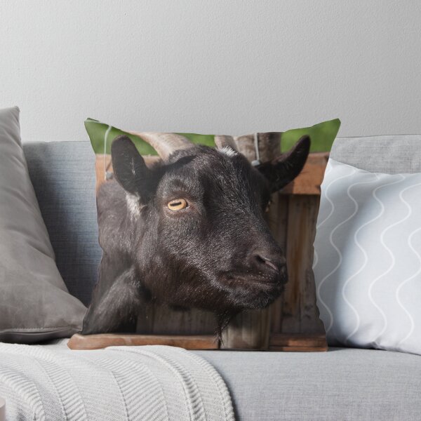 Item preview, Funny goat - black goat designed and sold by animal-animal.