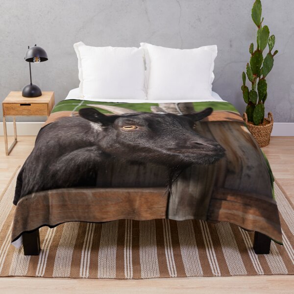 Item preview, Funny goat - black goat designed and sold by animal-animal.