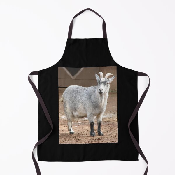 Item preview, White goat designed and sold by animal-animal.