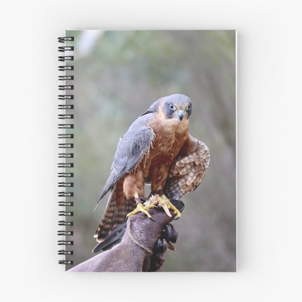 Item preview, Being stared down designed and sold by Jenelle  Irvine.
