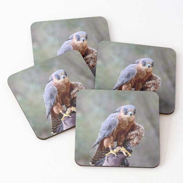 Item preview, Being stared down designed and sold by Jenelle  Irvine.