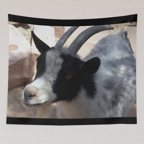 Item preview, Pygmy goat designed and sold by animal-animal.