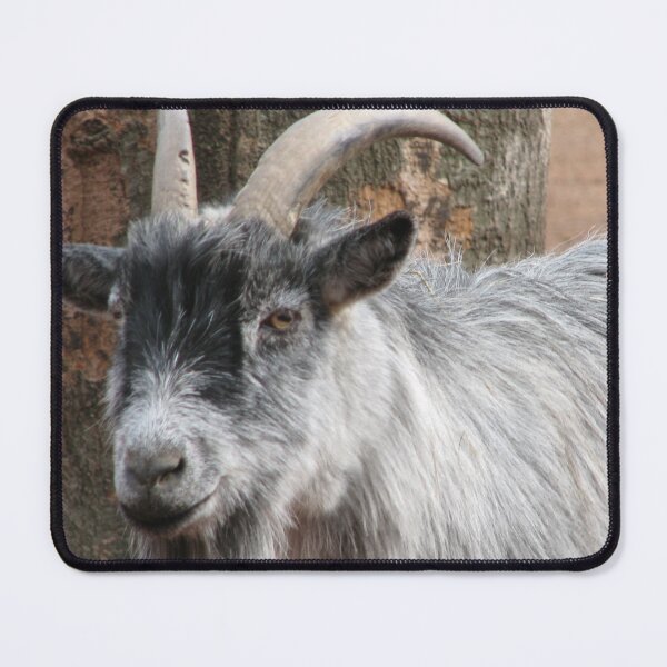 Item preview, White goat designed and sold by animal-animal.