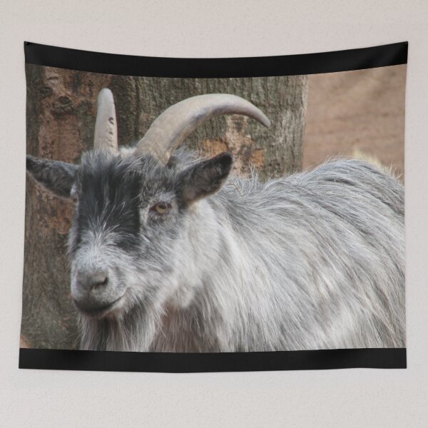 Item preview, White goat designed and sold by animal-animal.