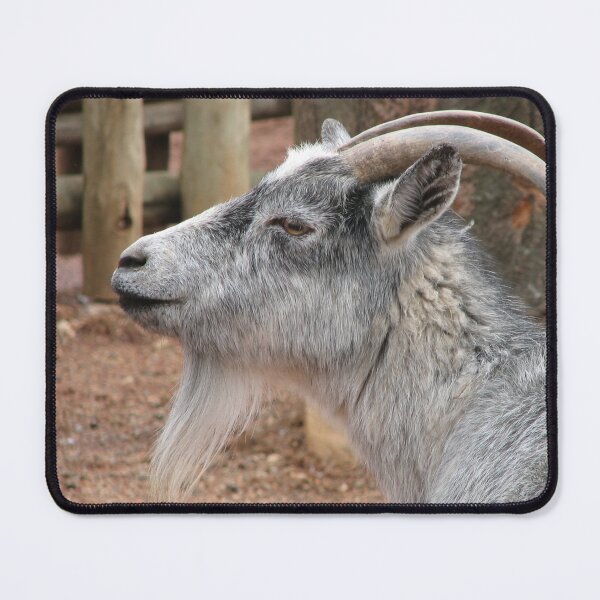Item preview, White goat designed and sold by animal-animal.