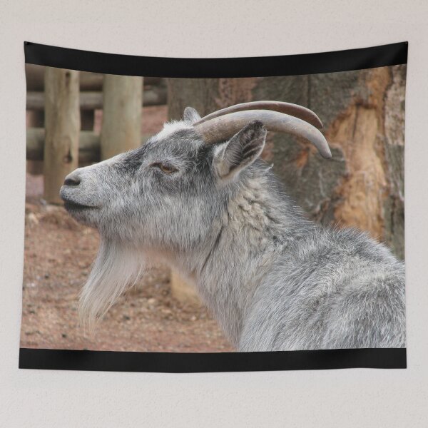 Item preview, White goat designed and sold by animal-animal.