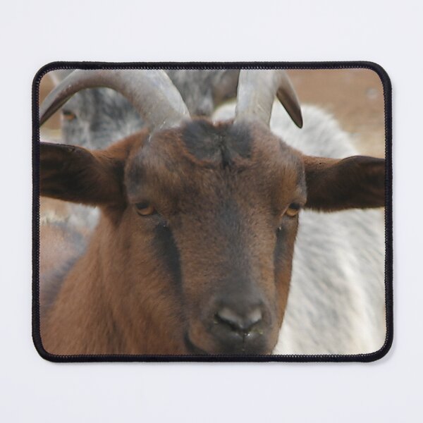 Item preview, Funny goat designed and sold by animal-animal.