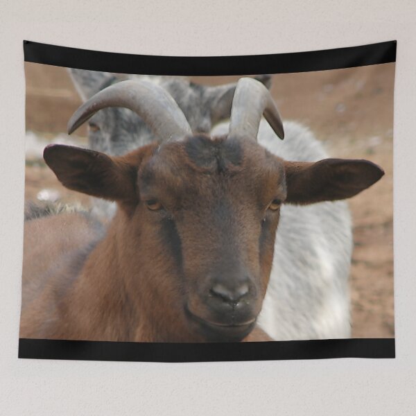 Item preview, Funny goat designed and sold by animal-animal.