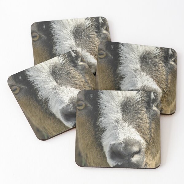 Item preview, Pygmy goat - Funny goat designed and sold by animal-animal.