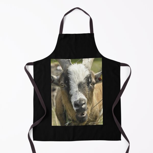 Item preview, Pygmy goat - Funny goat designed and sold by animal-animal.