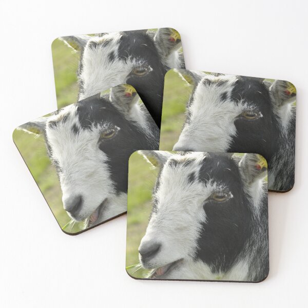 Item preview, Pygmy goat - mountain goat designed and sold by animal-animal.