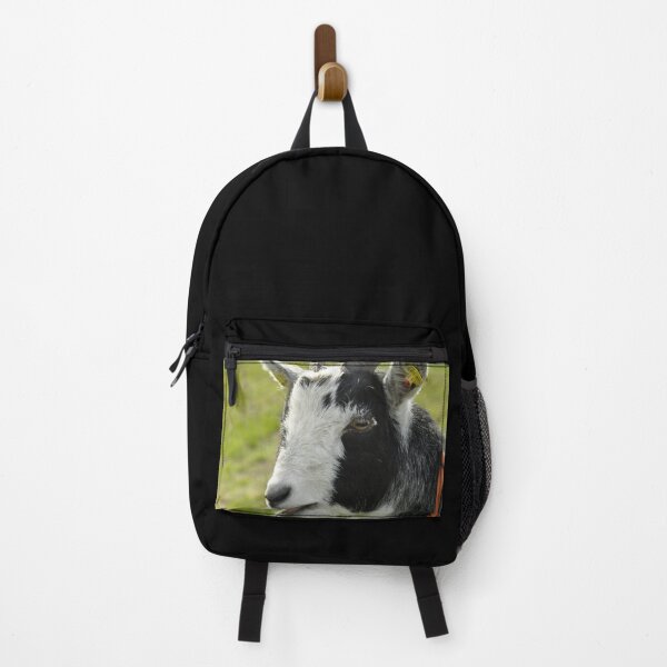 Item preview, Pygmy goat - mountain goat designed and sold by animal-animal.