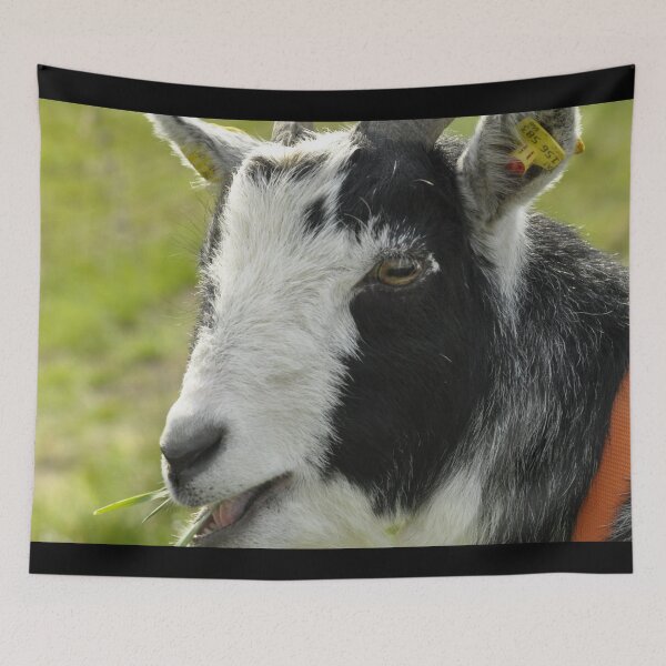 Item preview, Pygmy goat - mountain goat designed and sold by animal-animal.