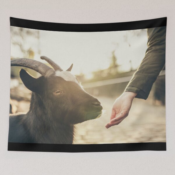 Item preview, Black goat designed and sold by animal-animal.
